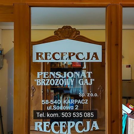 Brzozowy Gaj - Pensjonat Karpacz Exterior foto