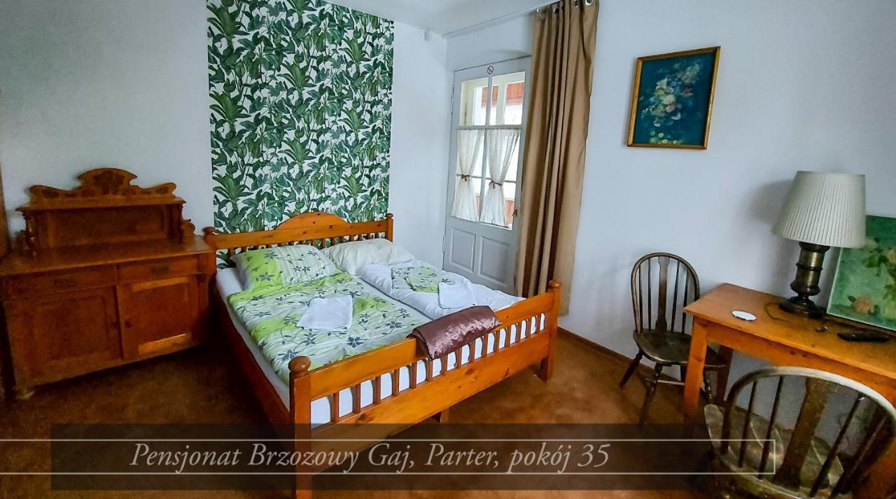 Brzozowy Gaj - Pensjonat Karpacz Exterior foto
