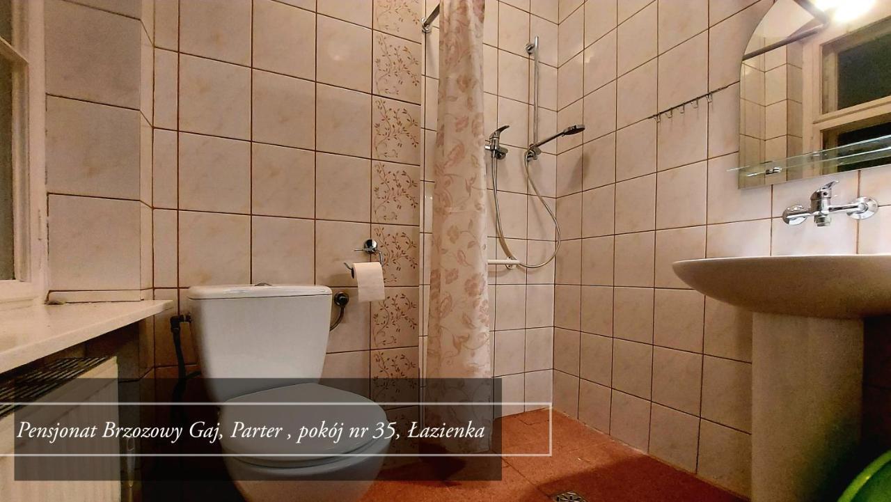 Brzozowy Gaj - Pensjonat Karpacz Exterior foto