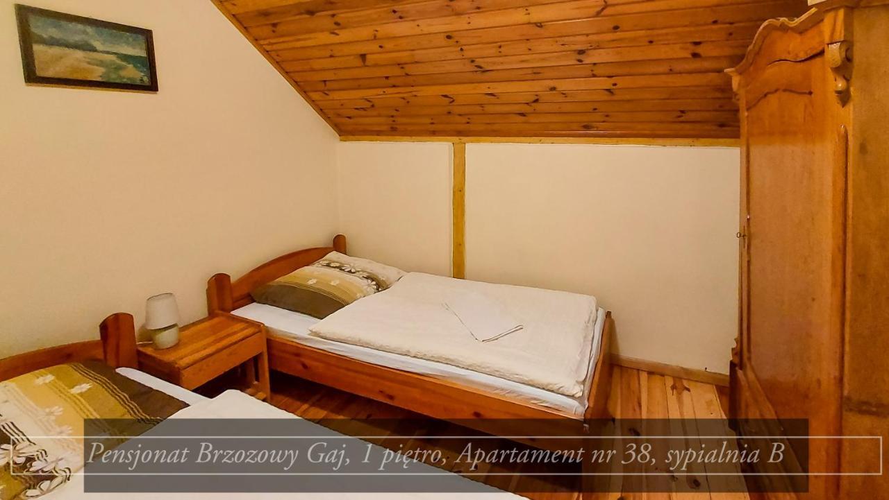 Brzozowy Gaj - Pensjonat Karpacz Exterior foto